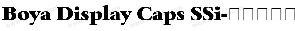 Boya Display Caps SSi字体转换
